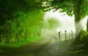 165开头的手机号是正规号,它们是国家特批的独立运营商,也称虚拟运营商,所推出的是虚拟号段!虚拟运营商并非网上卖的网络虚拟号码,是真实手机卡,虚拟运营商所售号码资源均由中国移动、