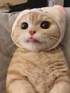 《条例修正案(草案)》规定,电信业务经营者发现在网电信用户冒用他人证件,使用伪造、变造证件或者信息进行登记的,可以停止电信服务,并报公安部门依法处理。